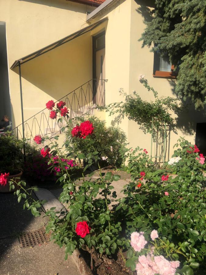 Das Kleine Haus Breitenbrunn am Neusiedler See Exterior foto