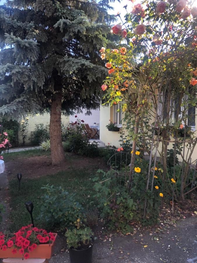 Das Kleine Haus Breitenbrunn am Neusiedler See Exterior foto