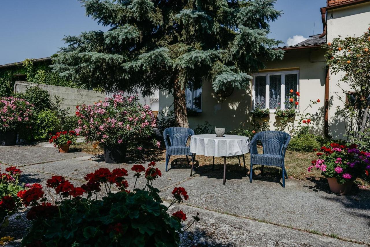 Das Kleine Haus Breitenbrunn am Neusiedler See Exterior foto
