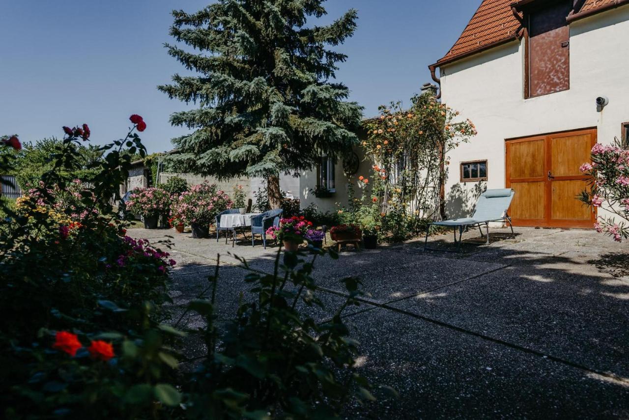 Das Kleine Haus Breitenbrunn am Neusiedler See Exterior foto