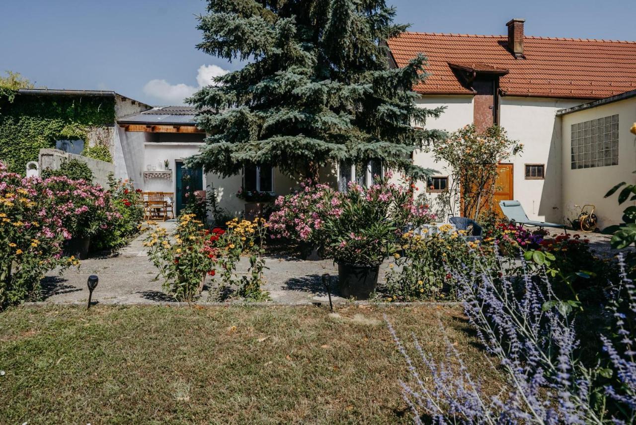Das Kleine Haus Breitenbrunn am Neusiedler See Exterior foto